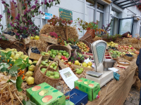 Obstbörse Schwanstetten